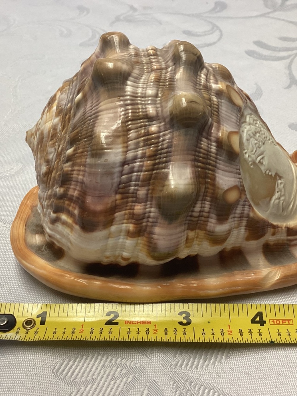 BEAUTIFUL Vintage Italian LARGE Hand Carved Cameo Conch Shell MINT CONDITION - Picture 5 of 10